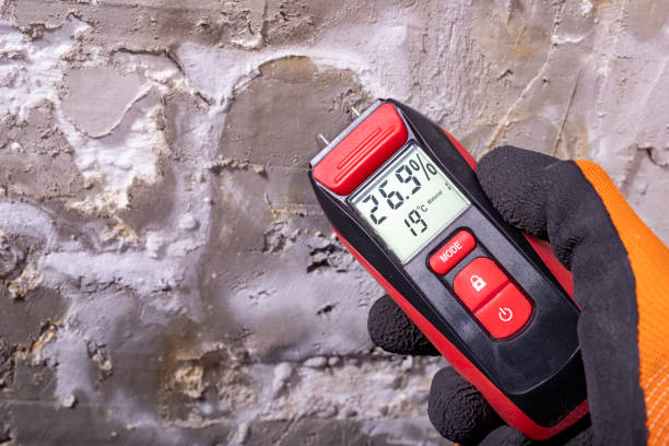 Best Mold Damage Repair  in Country Club Hls, IL