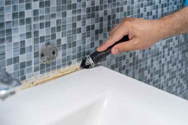 Best Mold Remediation  in Country Club Hls, IL