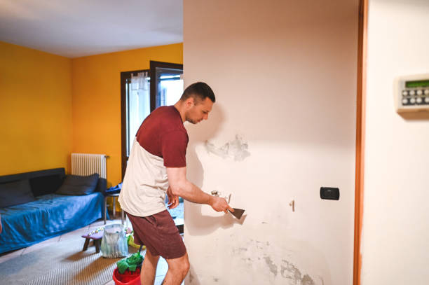 Trusted Country Club Hills, IL Mold Removal Experts
